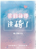 我的新郎逃婚了作者